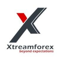 software development services