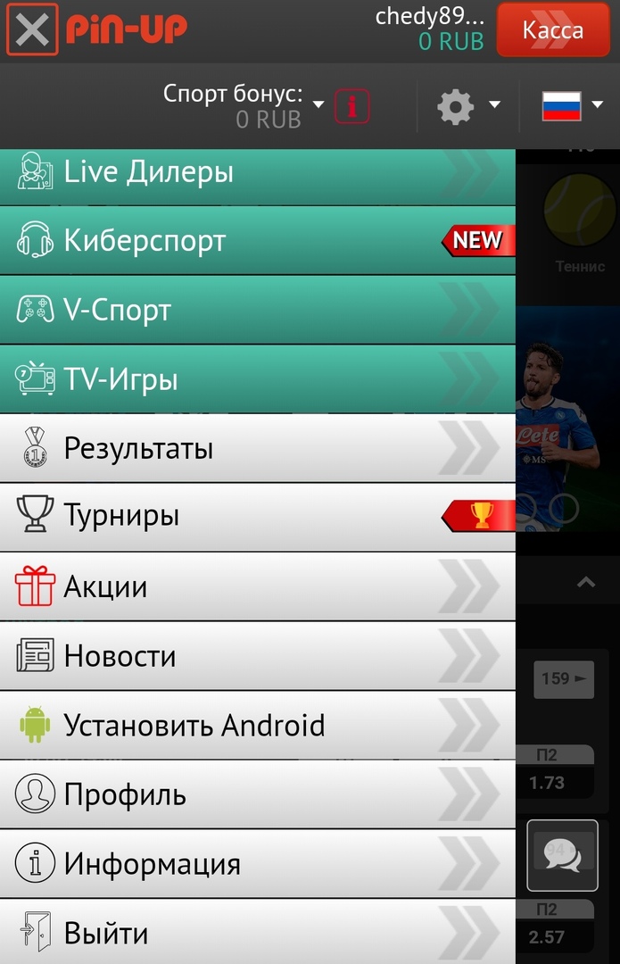 Простой план для pin up